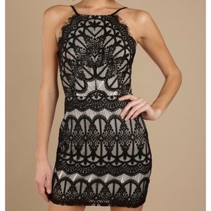 Tobi Black and Nude Lace Mini Dress